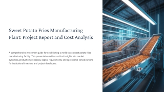 Sweet Potato Fries Manufacturing Plant Project Cost Estimation