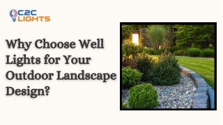 Why Choose Well Lights for Your Outdoor Landscape Design