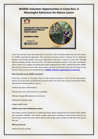 Wildlife Volunteer opportunities in Costa Rica