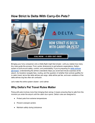 How Strict Is Delta With Carry-On Pets