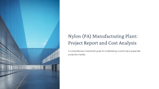 Nylon (PA) Manufacturing Plant: Setup Guide & Investment Insights