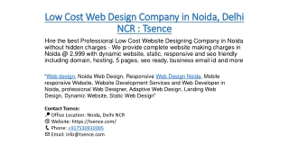 Best Web Design Company in Noida  Tsence