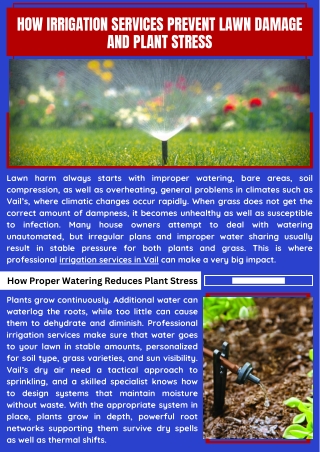 Advanced Irrigation System Installation Services