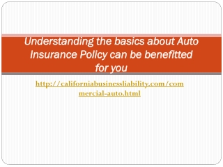 Understanding the basics about Auto Insurance Policy