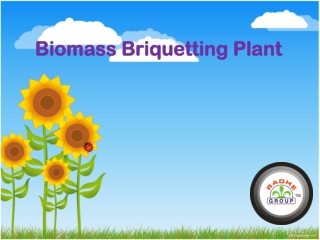 Biomass Briquetting Plant