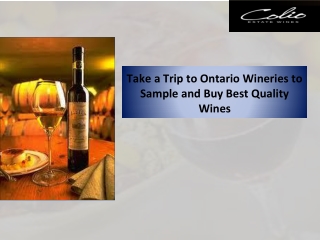 Take a Trip to Ontario Wineries to Sample and Buy Best Quality Wines