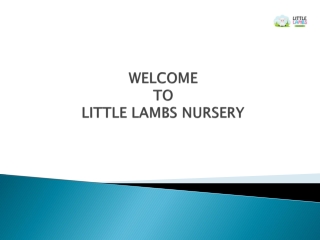 Little Lambs Nursery – The Best Nursery in Dubai
