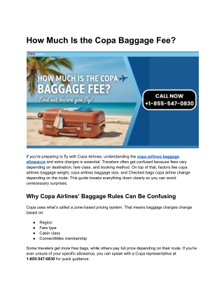 How Much Is the Copa Baggage Fee