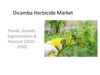 Dicamba_Herbicide_Market_Advanced_PPT (1)