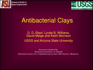 Antibacterial Clays