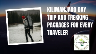 Kilimanjaro Day Trip and Trekking Packages for Every Traveler