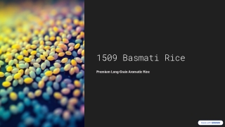 Premium 1509 Basmati Rice: Quality, Features, and Market Applications