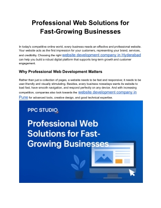 Professional Web Solutions for Fast-Growing Businesses