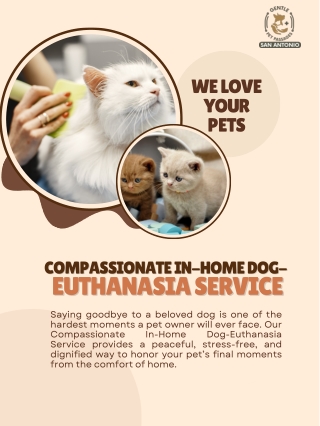 Compassionate In-Home Dog-Euthanasia Service