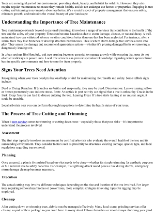 Tree Cutting and Trimming - Keeping Your Property Safe and Beautiful!