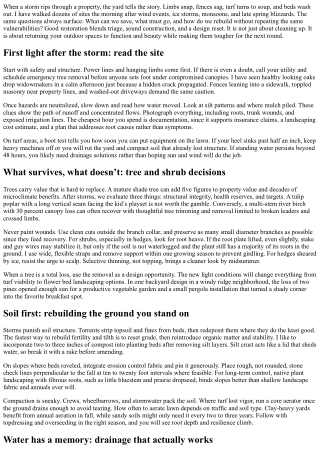 Storm Damage Yard Restoration: Rebuilding Your Landscape