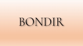 Fancy Dog Coats BONDIR Designs Celebrate Luxury Elegance Warmth Beautifully