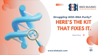 Reliable Viral RNA Extraction| Right Viral RNA Purification Kit| Get Accurate Re