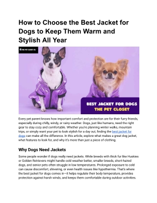 Best Jackets For Dogs - The Pet Closet
