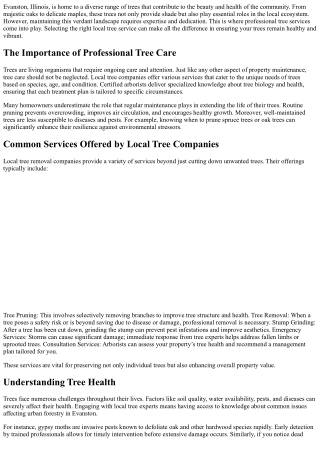 Evanston Tree Service: Quality Care in Your Neighborhood