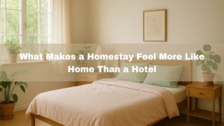 What Make a Homestay Feel More Like Home Than a Hotel
