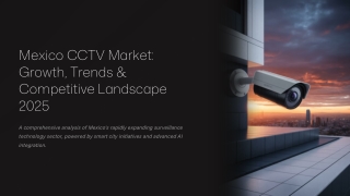 Mexico CCTV Market Outlook: Key Growth Drivers, Trends & Opportunities 2025-2033