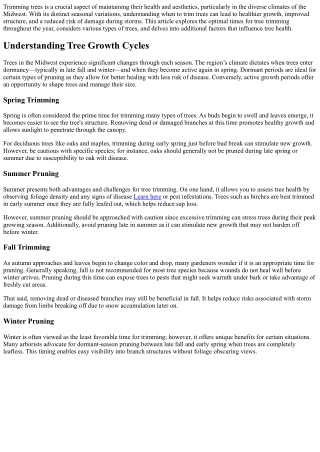 When is the Best Time to Trim Trees in the Midwest? Seasonal Guidelines Explaine