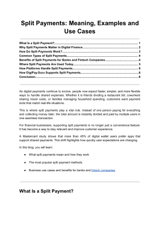 Split Payments - Meaning, Examples and Use Cases