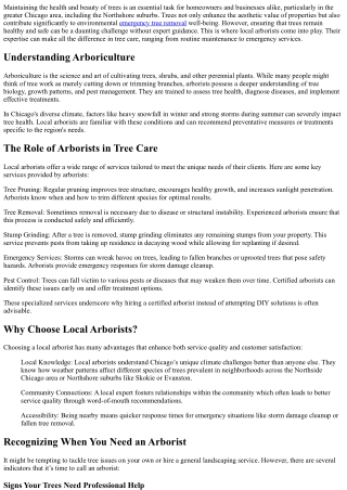 Local Arborists: Your Go-To Experts for Tree Care in Chicago