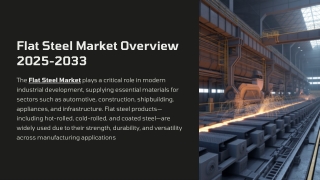 Flat Steel Market Size, Share And Trends Report 2025-2033