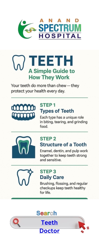 Structure of a Tooth