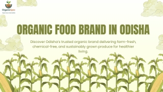 Organic Food Brand in Odisha – Pure, Fresh & Farm-Grown for a Healthier You