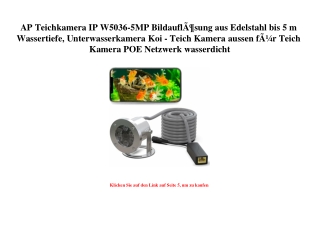 5974 AP Teichkamera IP W5036-5MP BildauflÃƒÂ¶sung aus Edelstahl bis 5 m Wassertiefe  Unterwasserkamera K