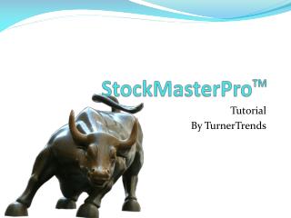 StockMasterPro TM