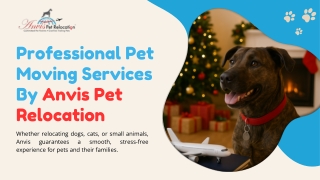 Professional Pet Moving Services by Anvis Pet Relocation