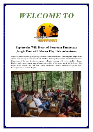 2-Day Jungle & Macaw Clay Lick Experience in Amazon