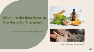 What are The Best Ways to Use Herbs for Treatment