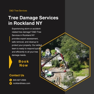 Tree Damage Services in Rockland NY  D&D Tree Services