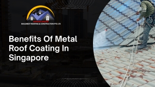 Benefits Of Metal Roof Coating In Singapore