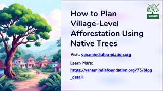 How to Plan Village-Level Afforestation Using Native Trees