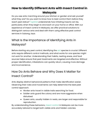 How to Identify Different Ants with Insect Control in Malaysia