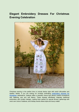 Elegant Embroidery Dresses For Christmas Evening Celebration