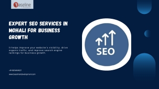 Expert SEO Services in Mohali For Business Growth