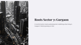 Roots Sector 71 Gurgaon | Offers Residential Heaven