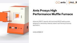 Ants Prosys High Performance Muffle Furnace