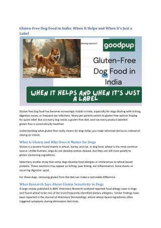 Gluten-Free Dog Food in India: When It Helps and When It’s Just a Label