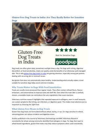 Gluten-Free Dog Treats in India: Are They Really Better for Sensitive Dogs