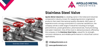 Stainless Steel Valve