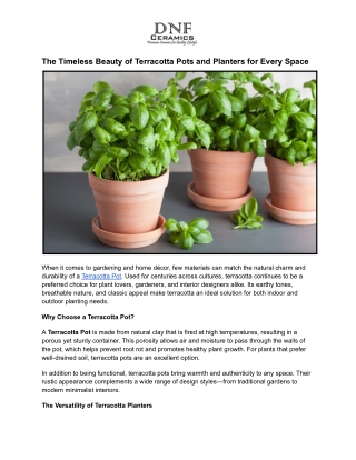 The Timeless Beauty of Terracotta Pots and Planters for Every Space