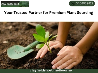 Your Trusted Partner for Premium Plant Sourcing